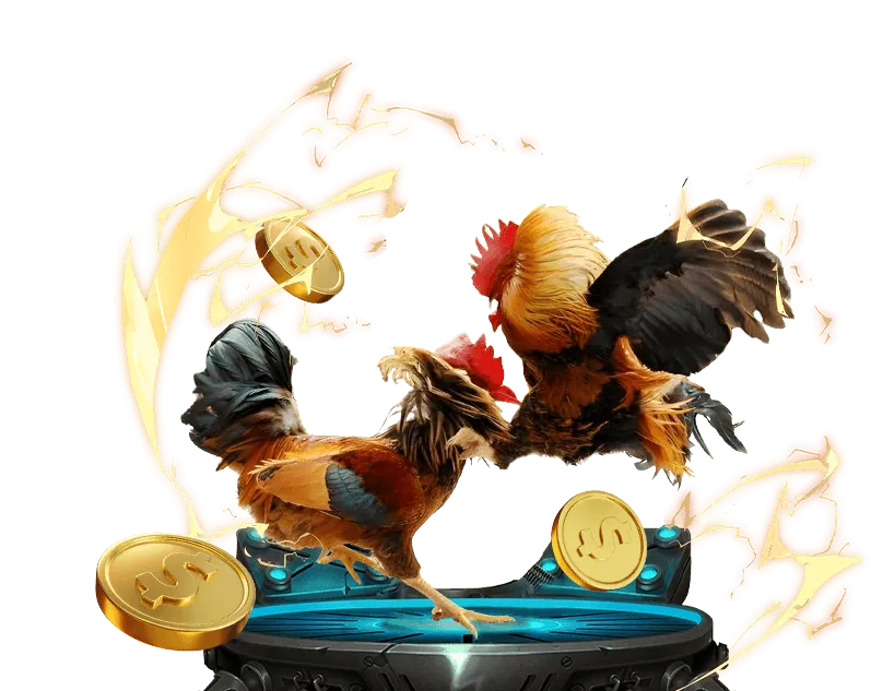 Hỗ trợ và câu hỏi thường gặp về Qh88